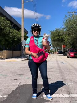 Veterans Day Parade West Palm Beach 2021