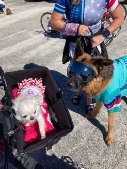 Veterans Day Parade West Palm Beach 2021