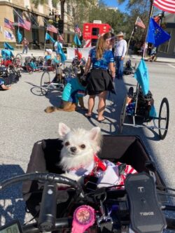 Veterans Day Parade West Palm Beach 2021