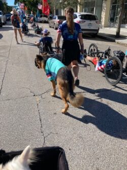 Veterans Day Parade West Palm Beach 2021