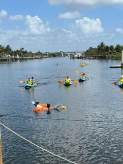 icare kayak clinic